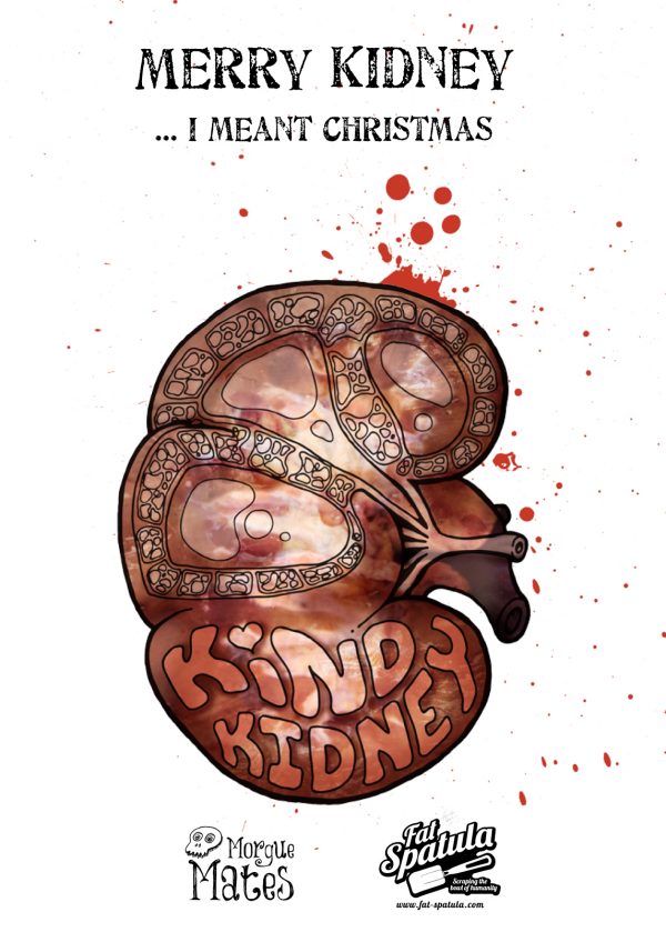 Merry Kidney illustration