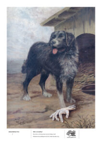 Picture of dog with a severed human hand on the ground below.